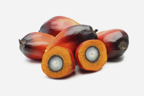 Palm Oil Derivatives in Johor Bahru | Global Palm Ventures Sdn Bhd